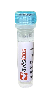 Anti-M6PR Recombinant Chicken Chimeric mAb FL650 Conjugate
