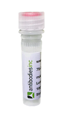Anti-Mucin 2 (MUC2) Antibody (BSA and Azide free)