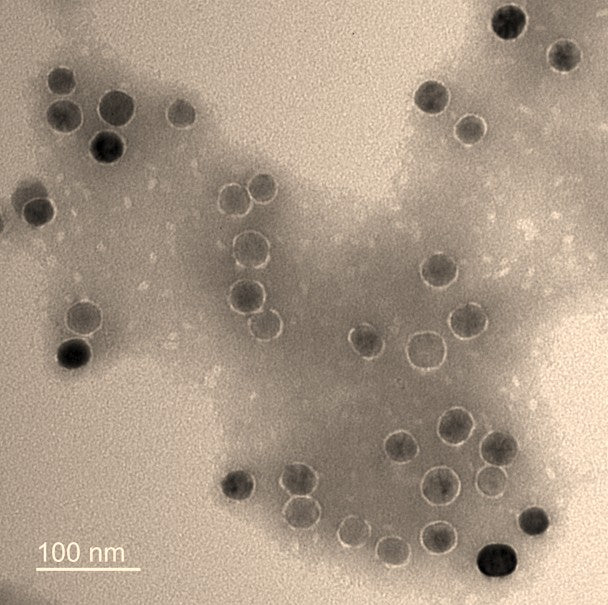 Carboxylic Acid Functionalized Superparamagnetic Nanoparticles