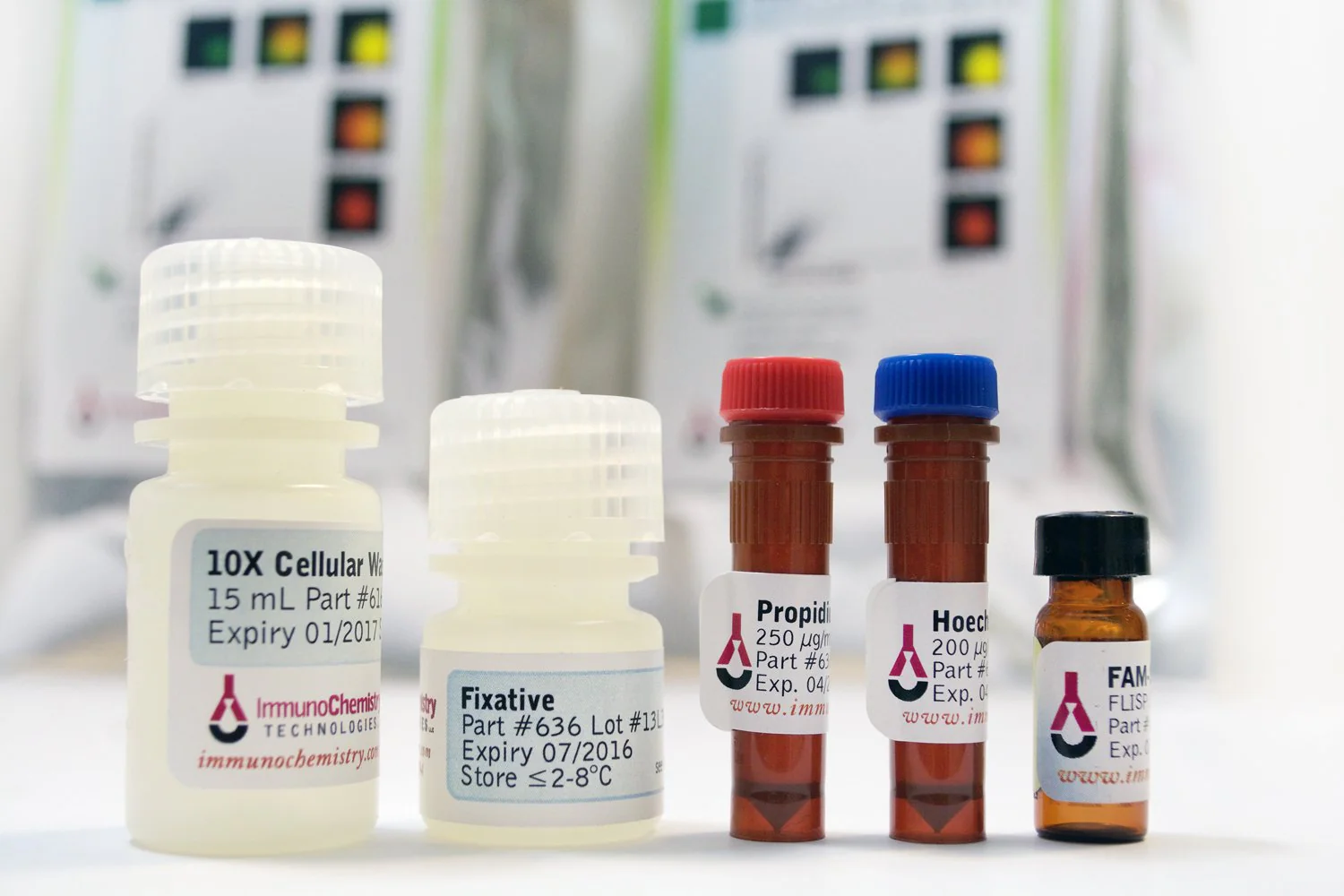 Green Fluorescent FAM-Spacer-Leu-CMK Serine Protease Assay Kit - Image 2