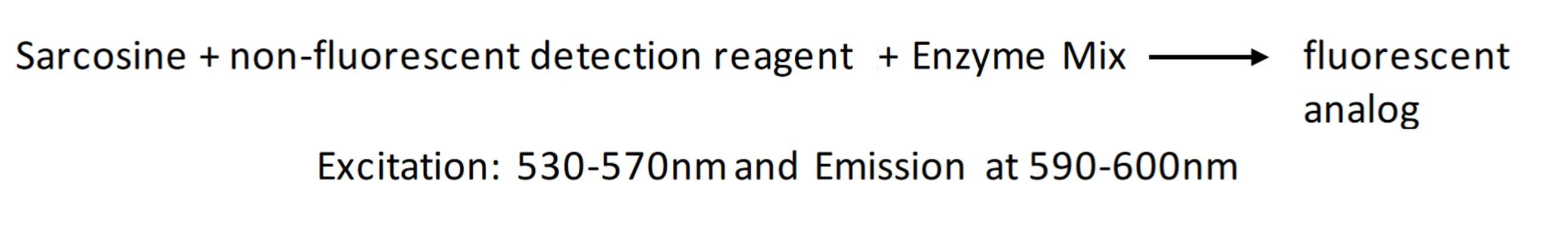 Fluorescent Sarcosine Detection Kit