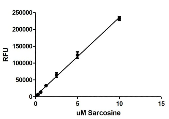 Fluorescent Sarcosine Detection Kit - Image 2