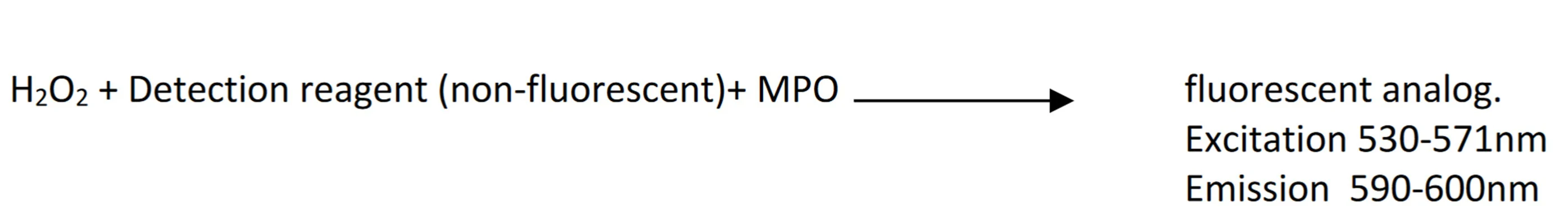 Myeloperoxidase Detection Kit